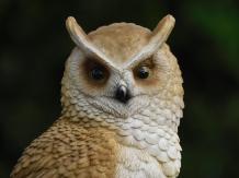 Owl on Stump - 35 cm - Polystone - Detailed