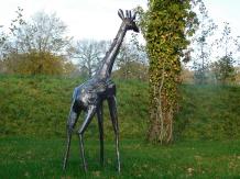 images/productimages/small/giraffe.xl.zuri.200cm.zimb7.jpg