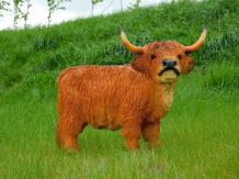 Scottish Highlander - 60 cm - Polystone