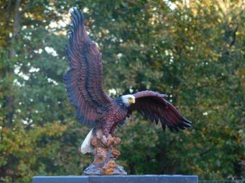 Bald Eagle - 40 x 50 cm - Polystone - Zeearend