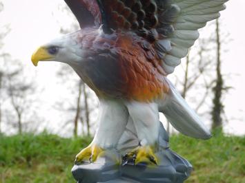 Statue Adler in Farbe - 60 cm - Polystone