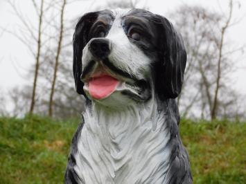 Beeld Berner Sennenhond - 80 cm - Polystone