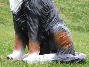 Beeld Berner Sennenhond - 80 cm - Polystone