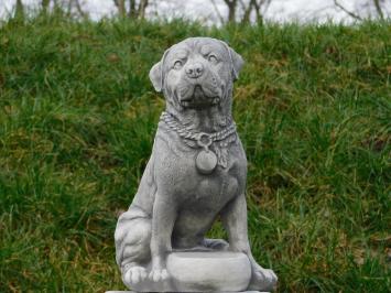 Beeld Hond - 35 cm - Steen