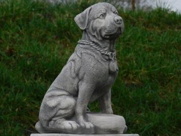 Beeld Hond - 35 cm - Steen