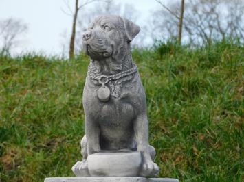 Beeld Hond - 35 cm - Steen