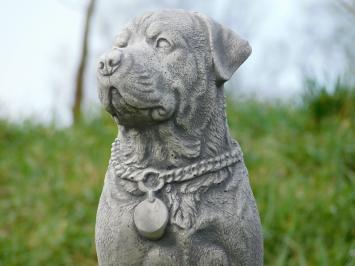 Beeld Hond - 35 cm - Steen