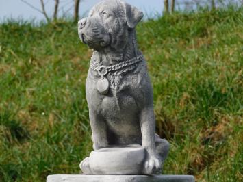 Beeld Hond - 35 cm - Steen