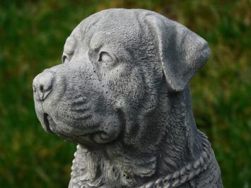 Beeld Hond - 35 cm - Steen