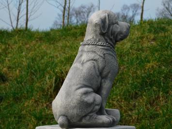 Beeld Hond - 35 cm - Steen