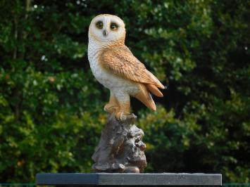 Statue Owl - 35 cm - Polystone - Detailed