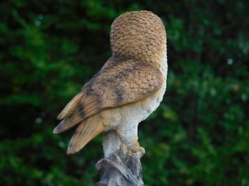 Statue Owl - 35 cm - Polystone - Detailed