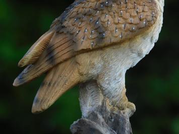 Statue Owl - 35 cm - Polystone - Detailed