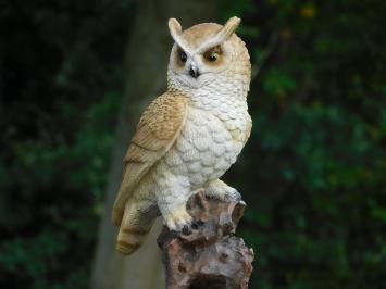 Eule auf Baumstumpf - 35 cm - Polystone - Detailliert