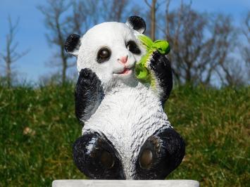 Statue Sitzender Panda - Polystone - in Farbe