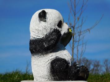 Statue Sitzender Panda - Polystone - in Farbe