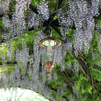 Pendant Lamp Sneek Bronze - on Chain - 54 cm