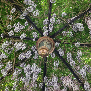 Pendant Lamp Sneek Bronze - on Chain - 54 cm