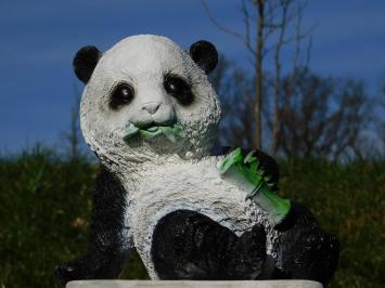 Beeld Leunende Panda - Polystone - in Kleur