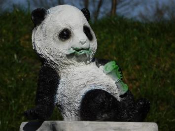 Beeld Leunende Panda - Polystone - in Kleur