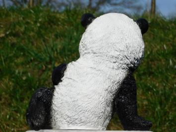 Beeld Leunende Panda - Polystone - in Kleur