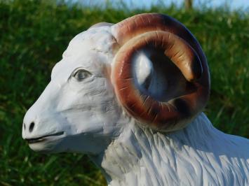 Sheep with Horns - 85 cm - Polystone