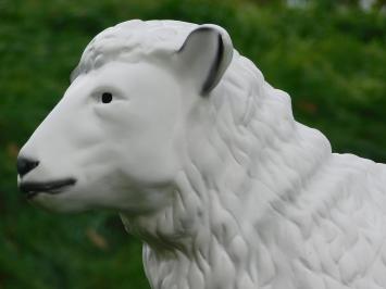 Schaap - 80 cm - Polystone