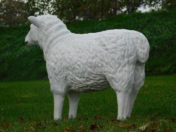 Schaap - 80 cm - Polystone