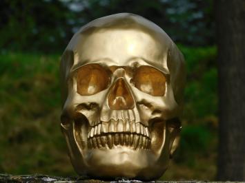 Skull - Schedel - Polystone - Goud