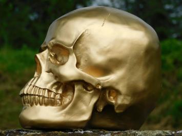 Skull - Schedel - Polystone - Goud