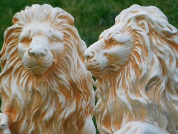 Set Lions with Shield - 52 cm - Polystone