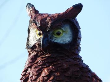 Owl XL - 40 cm - Brown - Polystone