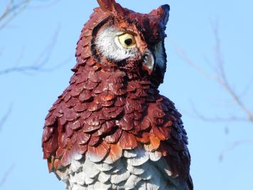 Owl XL - 40 cm - Brown - Polystone