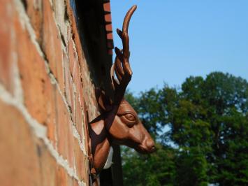 Wall ornament Deer head - Brown - Cast iron